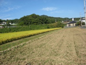 img_06741 img_06741