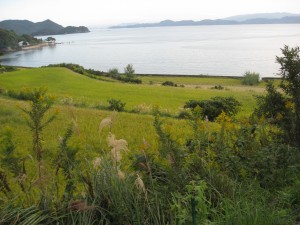 img_06901 img_06901