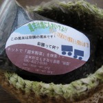 画像 031
