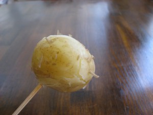 IMG_8759