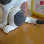 IMG_9077