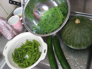 IMG_9120