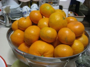IMG_9463