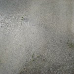 IMG_9856