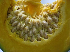 IMG_9919