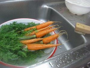 IMG_0236