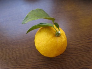 IMG_0277
