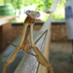 img_0922
